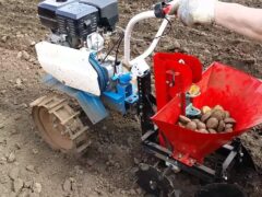 как садить картошку мотоблоком