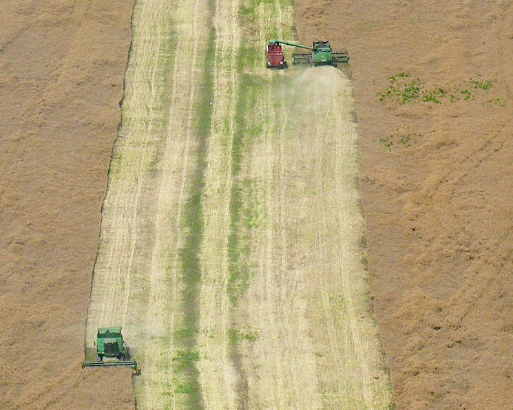 Сельхозпроизводство в августе выросло на 6,1%