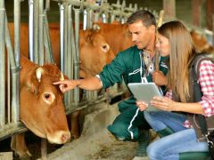 Работа с персоналом фермы