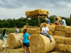 туристы на ферме