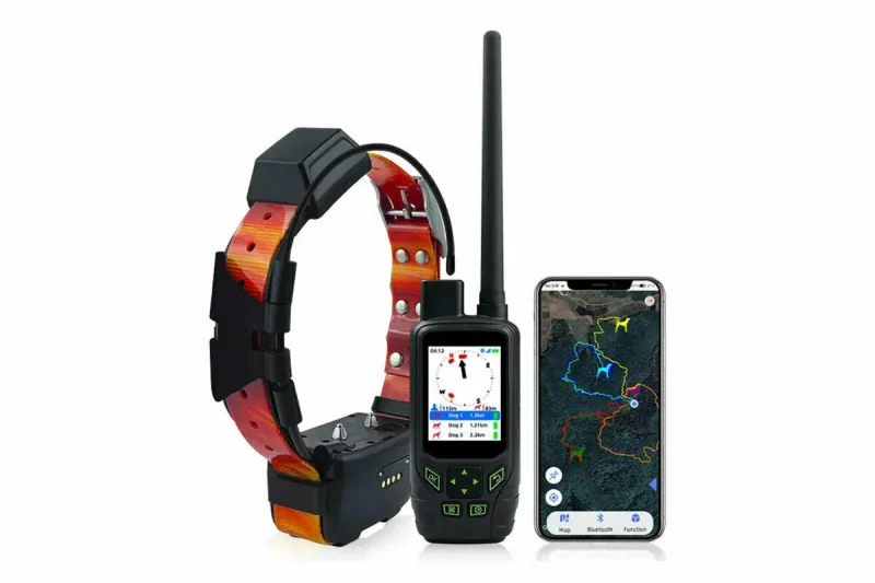 GPS-ошейники для пастбищ