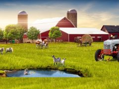 Личные подсобные хозяйства или фермы