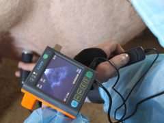 Мониторинг здоровья с IoT и носимыми датчиками