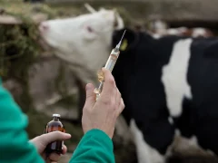 Профилактические прививки