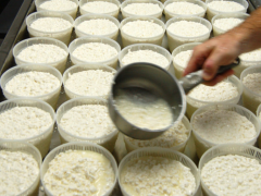 Производство сыра, творога и йогуртов