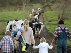 Семейные фермы