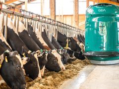 Системы автоматизированного кормления