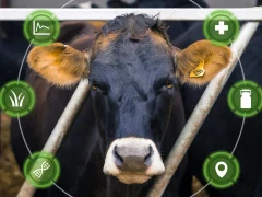 Умные системы управления стадом