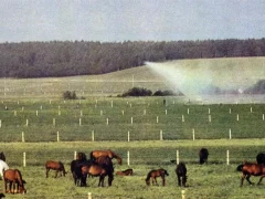 Устойчивые системы пастбищ ротационный выпас и метод пастбищного клина