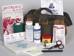 Базовая аптечка коневода