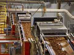 Роль пищевых компаний в современной экономике и повседневной жизни