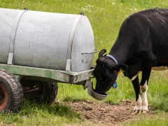 Автопоилки на пастбище