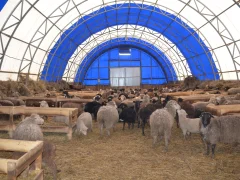 Гигиена на ферме