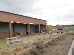 Генетические особенности и отличия различных пород животных