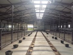 Реконструкция животноводческих комплексов и ферм КРС: современные подходы и практические решения