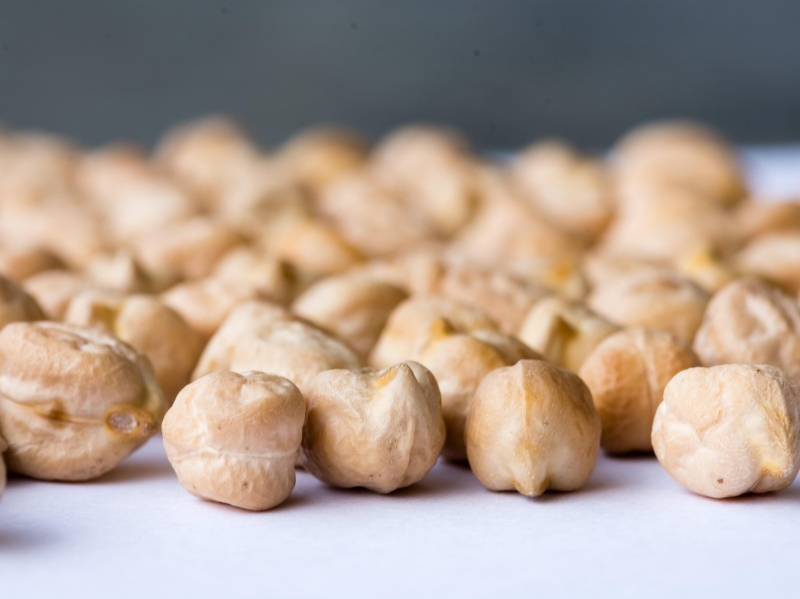 Агрохолдинг «Степь» сфокусируется на развитии семеноводческого дивизиона