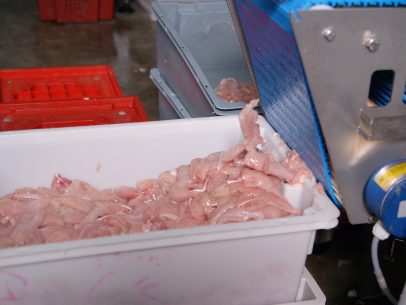 ГАП «Ресурс» увеличила экспорт мяса бройлера