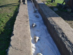 обработка овец от глистов