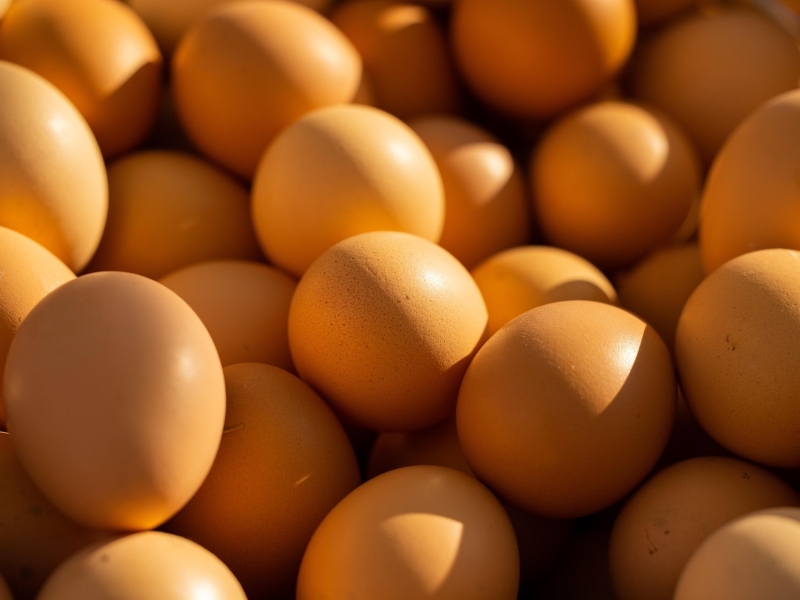 Оптовая стоимость яиц выросла более чем на 80%
