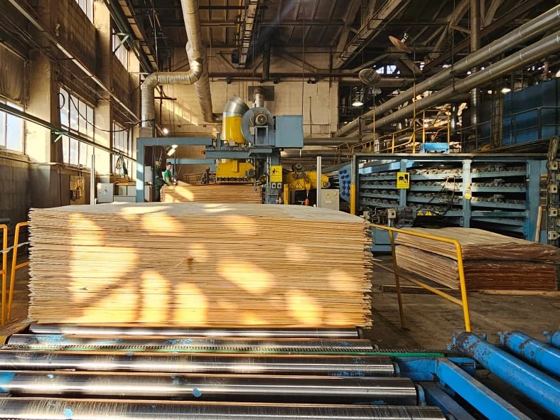 Побочные продукты фанерных комбинатов можно использовать для рекультивации земель