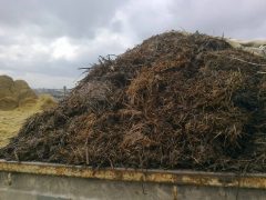 Продажа сена и навоза: дополнительный доход для фермеров и частников