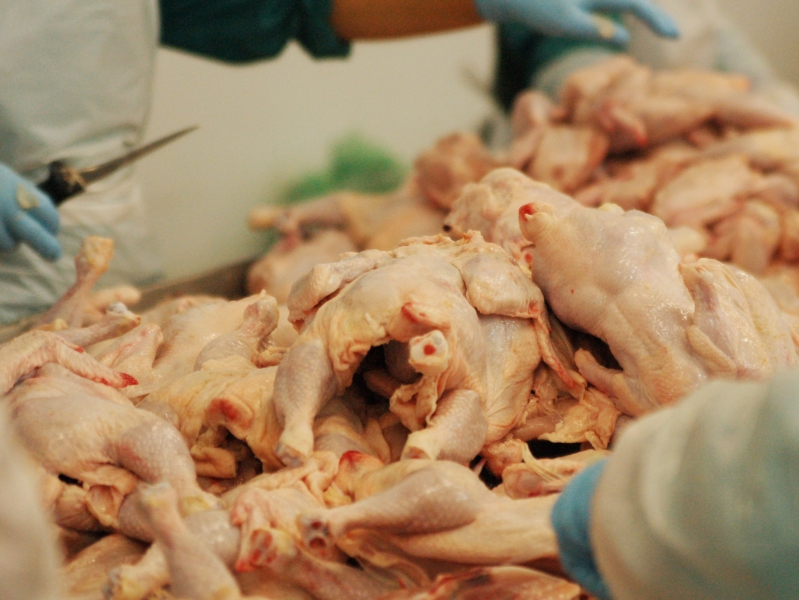 Производство мяса птицы в этом году может увеличиться на 1,2%