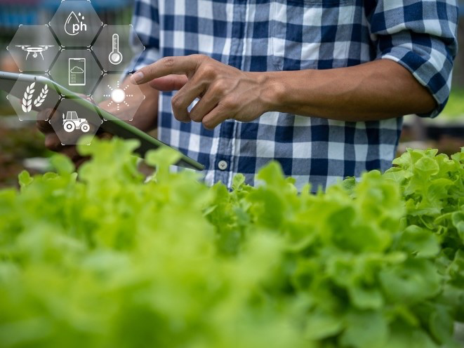РСХБ: агротехнологии опережающего развития могут повысить рентабельность растениеводства более чем на 21%