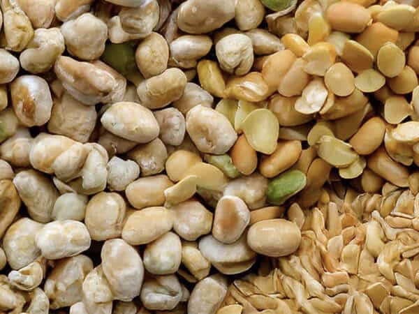 «Русагро» совместно с Genesis Seed займется производством семян