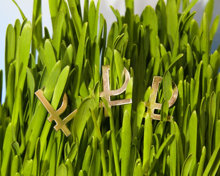 Самое интересное за неделю с 9 по 15 февраля