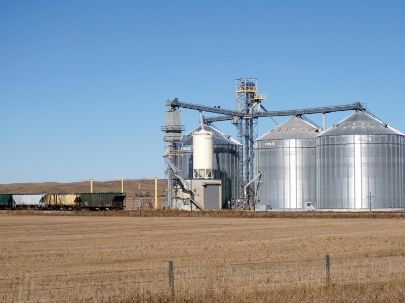 Smartseeds продолжает развивать сервис перевозки зерна в рамках уборочной кампании