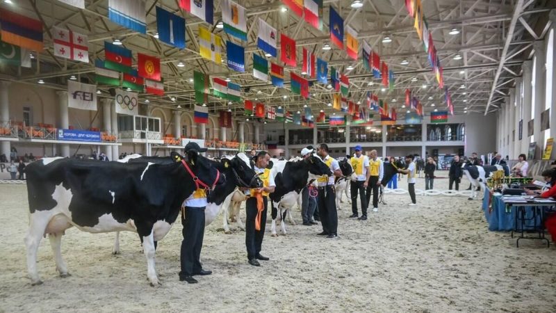 Участие в выставках и ярмарках