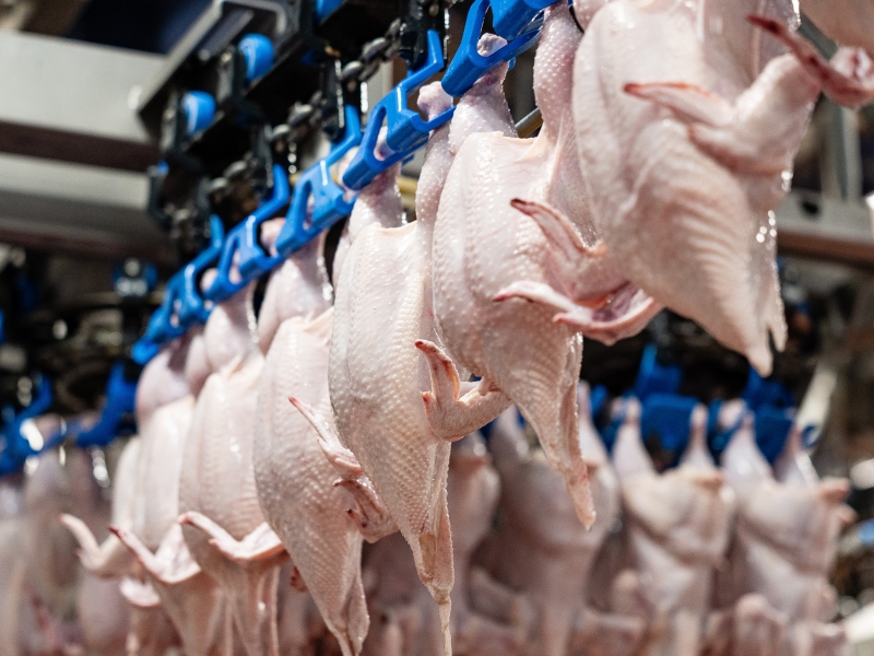 В рейтинге крупнейших производителей бройлера новый лидер