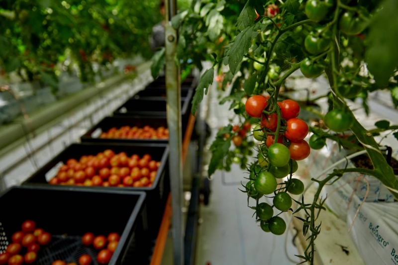 Антон Марушев, «Магнит»: «Наш приоритет — создавать ценность для потребителя каждый день»