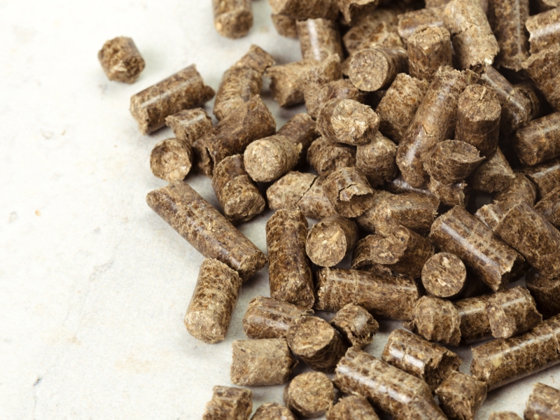 «Донбиотех» к 2029 году намерен начать выпуск треонина, триптофана и валина