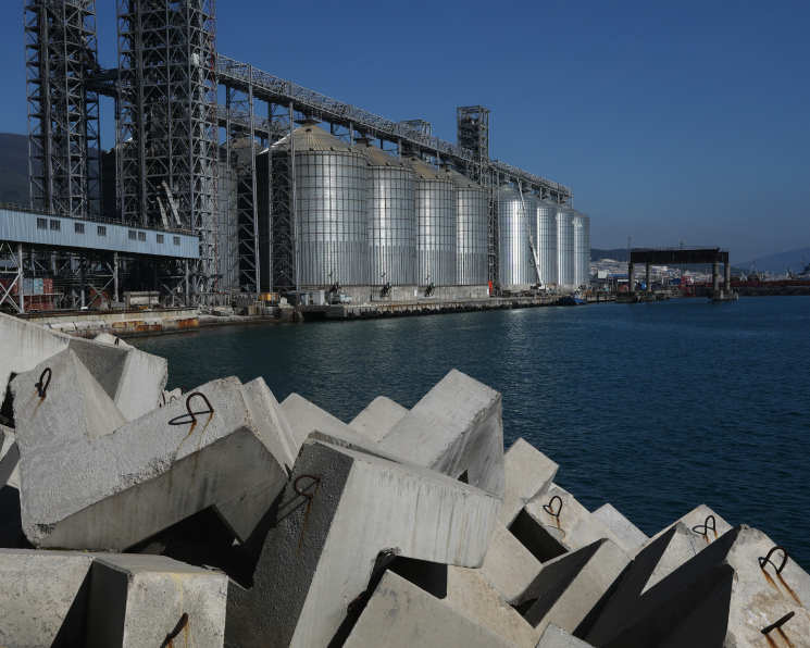 Экспортные цены на российскую пшеницу остаются высокими