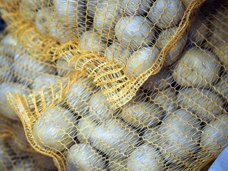 Импорт картофеля в начале года выше обычного