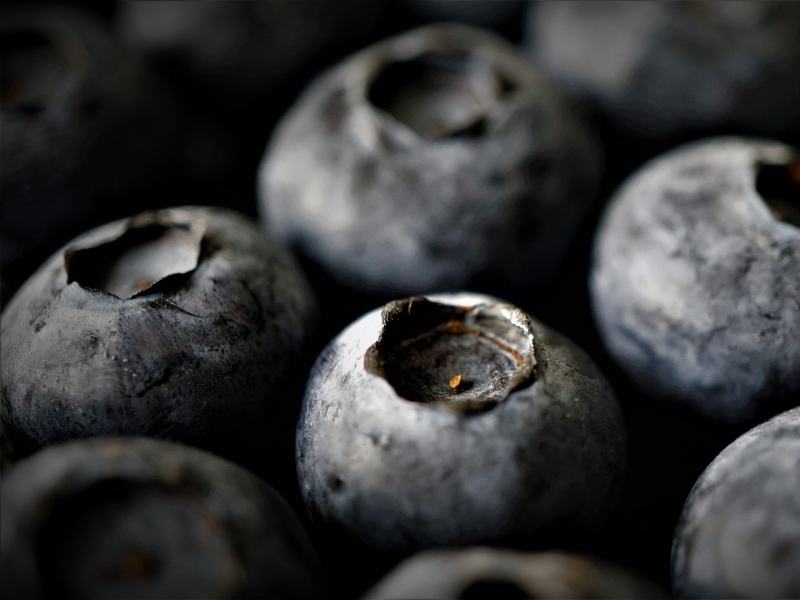 «Магнит» начнет выращивать голубику и яблоки