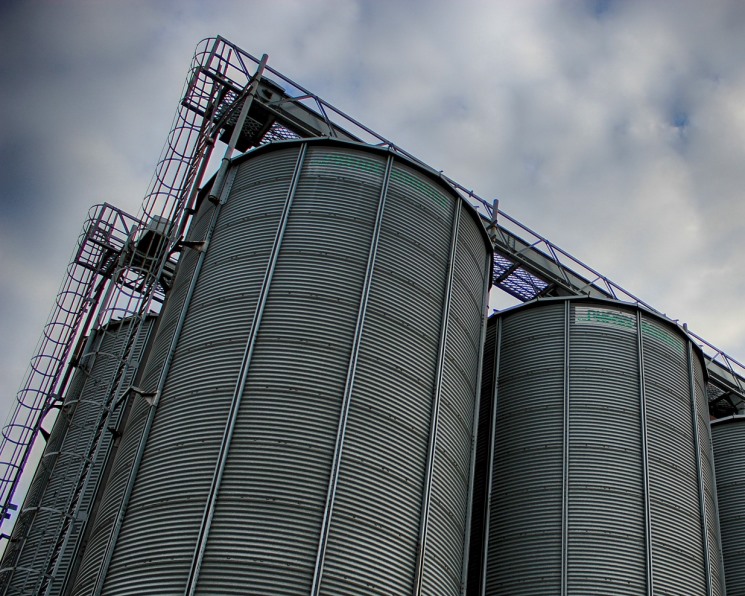 Минсельхоз США снизил прогноз экспорта пшеницы из России