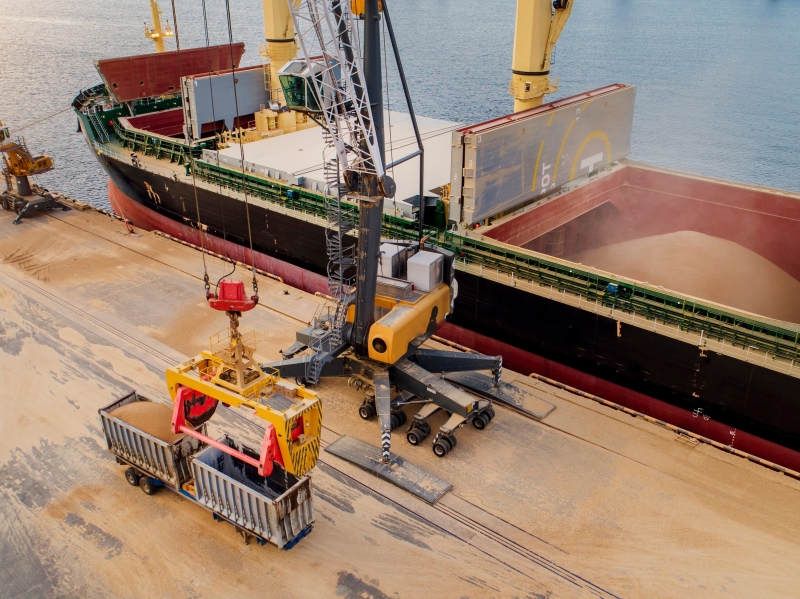 Пошлина на экспорт пшеницы может продолжить расти