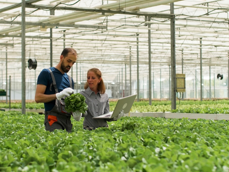 Россельхозбанк и Российская академия наук будут готовить кадры для АПК