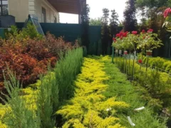 Садовый центр Green Park в Бишкеке растения и системы полива на сайте