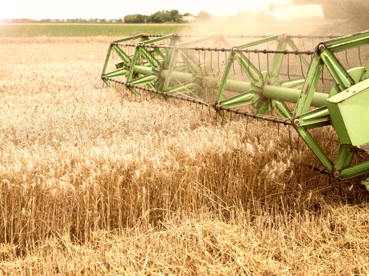 Сельское хозяйство в 2025 году потеряло более 100 млрд рублей прибыли