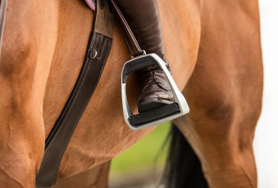 Типичные ошибки начинающих коневодов в СНГ