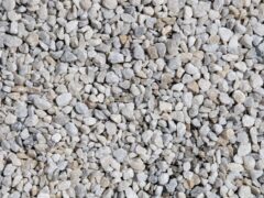 Типичные ошибки начинающих коневодов в СНГ