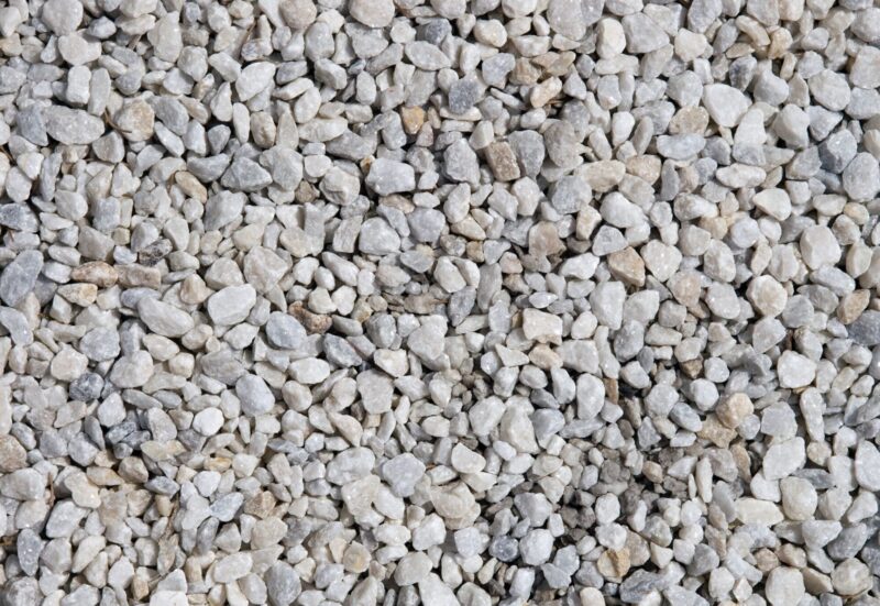 Типичные ошибки начинающих коневодов в СНГ