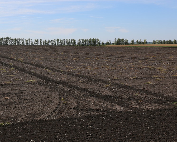 Весенний сев стартовал в благоприятных условиях