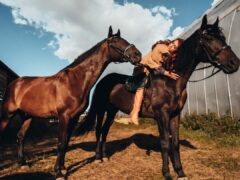 бюджетные породы животных для старта вашего хозяйства