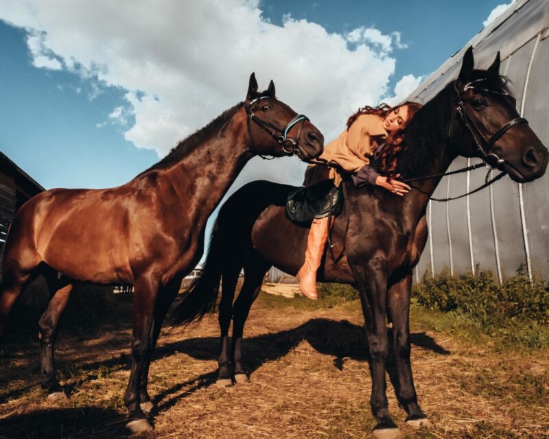 бюджетные породы животных для старта вашего хозяйства