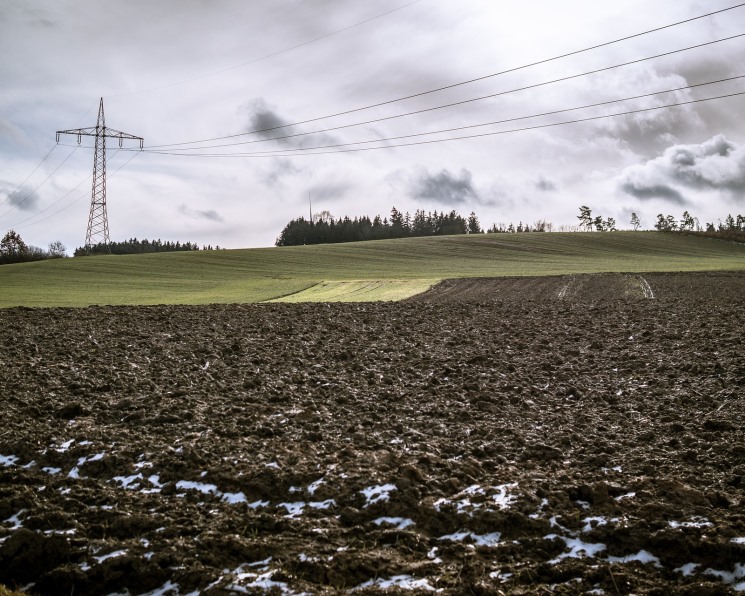 Дмитрий Патрушев: 97% озимых в нормальном состоянии