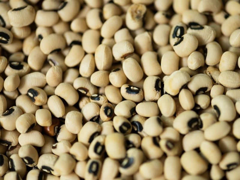 Масложировой союз: пошлины на экспорт льна и сои нужно увеличить